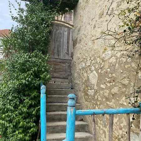 Petit Paradis Ferienhaus